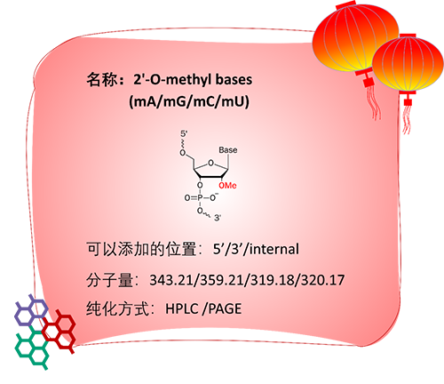 特殊核苷酸_2023-1-27-4