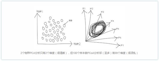 2个物种PCA分析只有2个维度