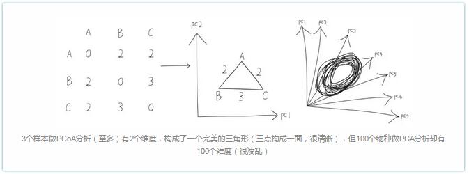 3个样本做PCoA分析