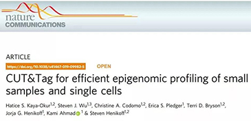 还在辛辛苦苦做ChIP？CUT&Tag技术了解下吧