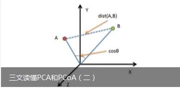 三文读懂PCA和PCoA（二）