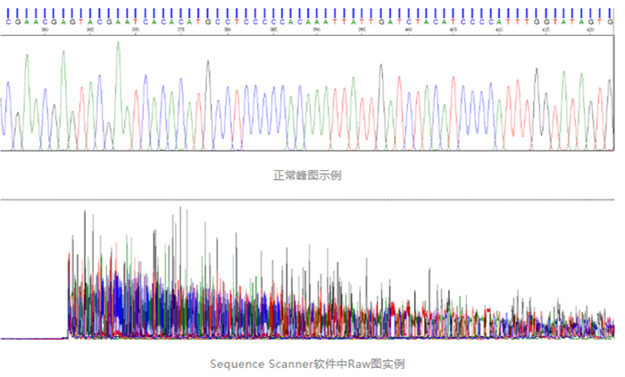 Sanger测序_1