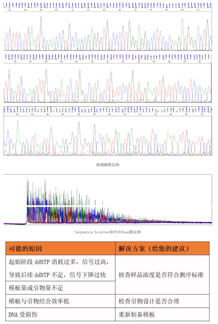 Sanger测序_3