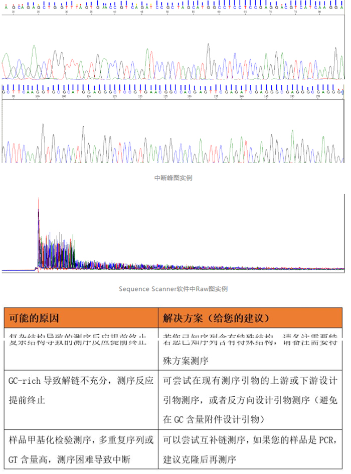 Sanger测序_4