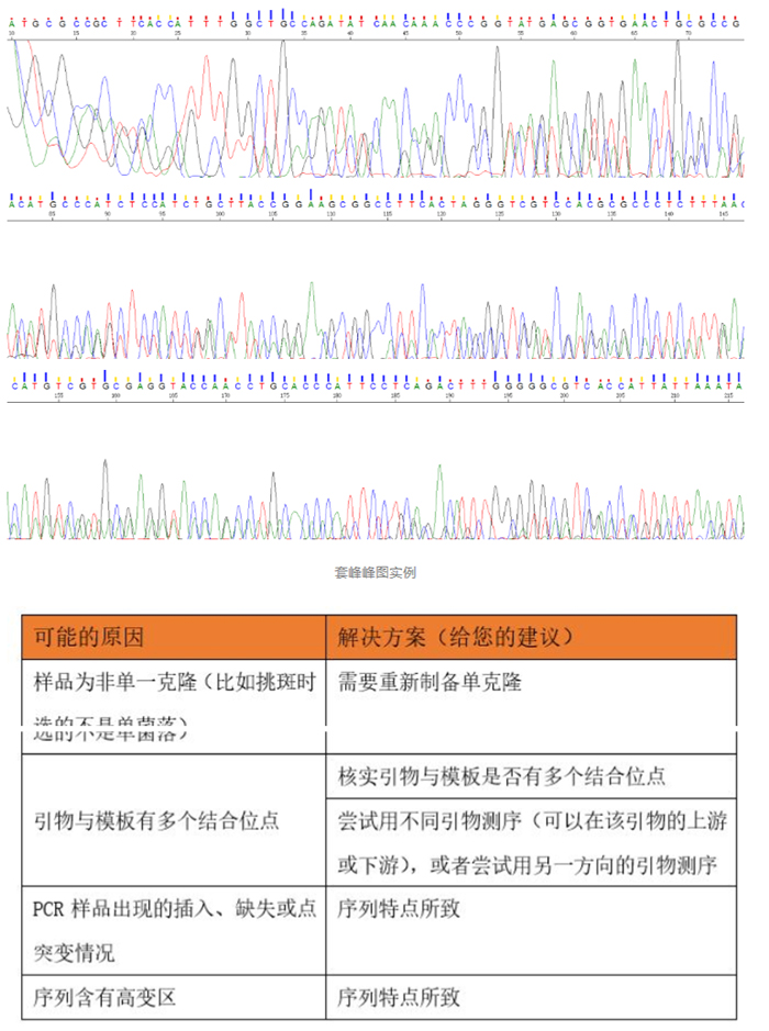 Sanger测序_5