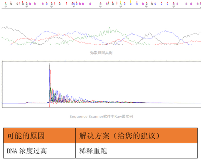 Sanger测序_6