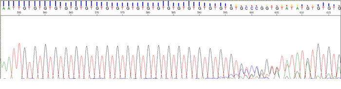 Sanger测序_8
