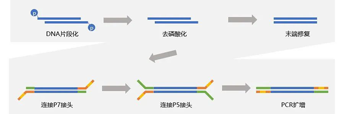 Swift法建库流程-2