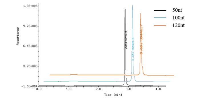 mRNA_0606-3