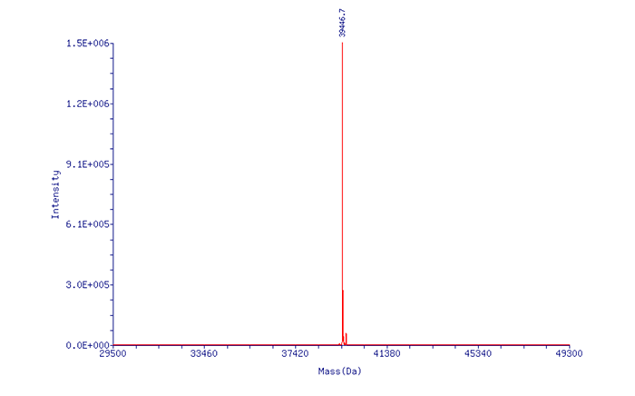 mRNA_0606-4