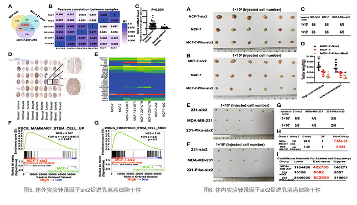 分子机制技术路线