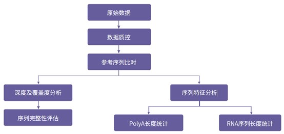 分析流程_2020-3-25-1