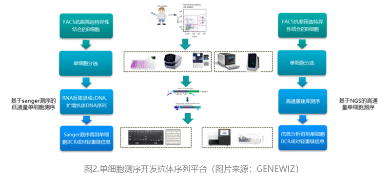 单克隆抗体_2022-1-20-2-2