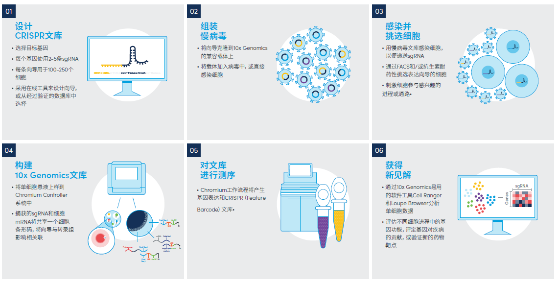 单细胞CRISPR Screen测序-流程图-5