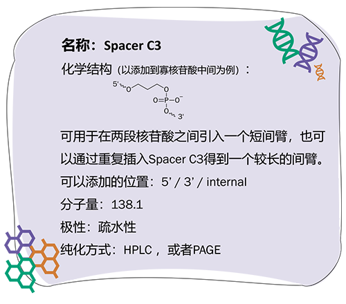 寡核苷酸_2023-1-30-1