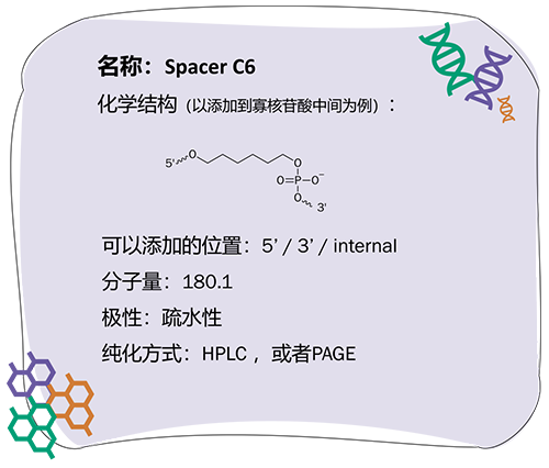 寡核苷酸_2023-1-30-4