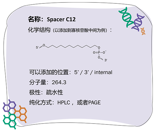 寡核苷酸_2023-1-30-5