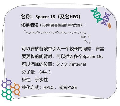 寡核苷酸_2023-1-30-8