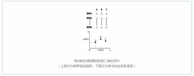 将k维空间数据投射到二维空间中