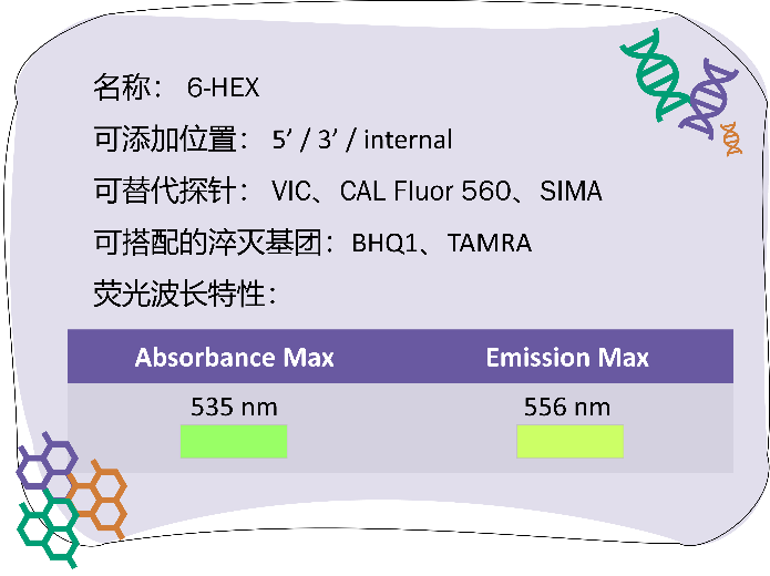 引物合成_2022-10-2