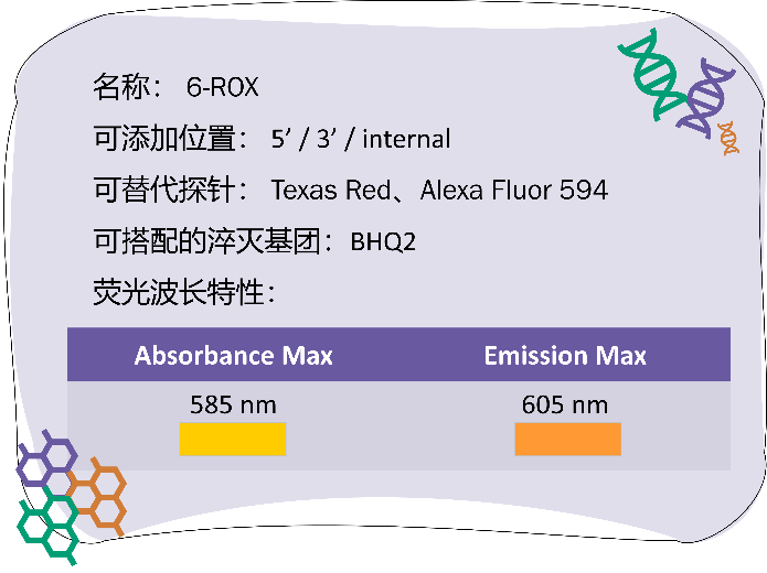 引物合成_2022-10-4