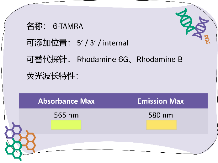 引物合成_2022-10-5