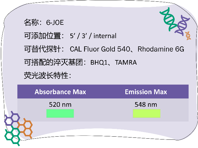 引物合成_2022-10-6