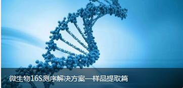 微生物16S测序解决方案—样品提取篇