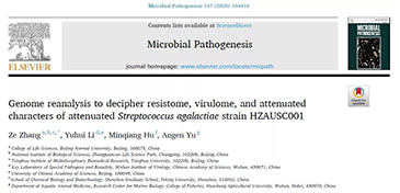 NGS技术研究无乳链球菌减毒株HZAUSC001基因组