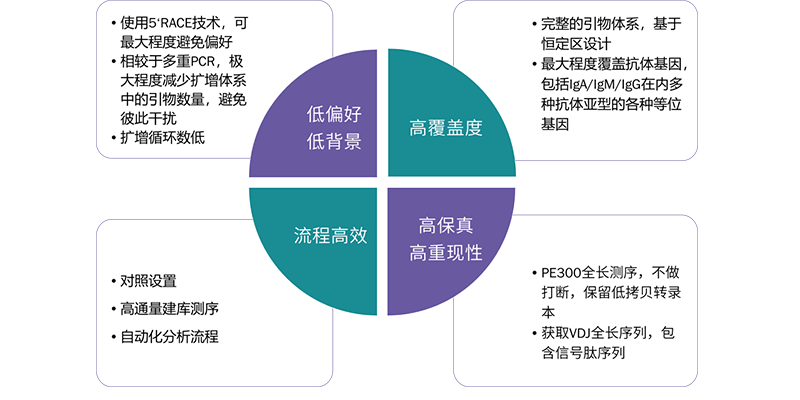 抗体表达-2