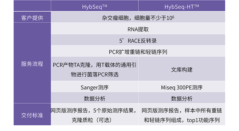 抗体表达-3