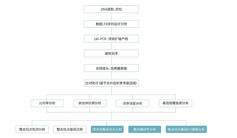 细胞基因治疗