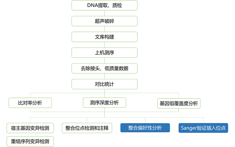 细胞基因治疗