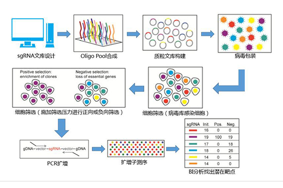 高通量基因组编辑