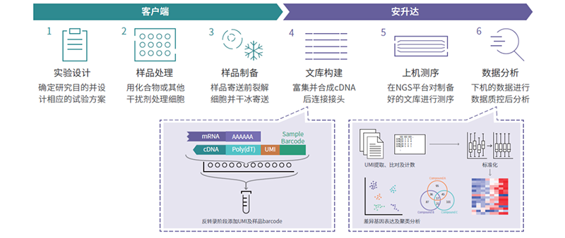 高通量基因表达-02